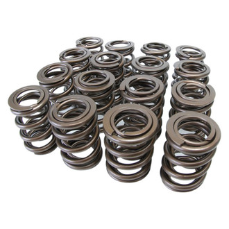 Skunk2® - Alpha Series Valve Spring Set