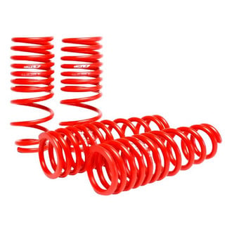 Skunk2® - Lowering Spring Kit