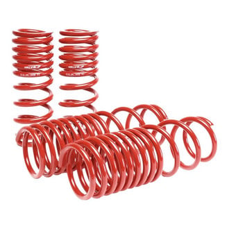 Skunk2® - Lowering Spring Kit