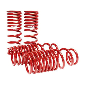 Skunk2® - Lowering Spring Kit