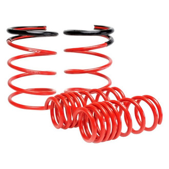 Skunk2® - 2.25" x 2" Front and Rear Lowering Coil Springs