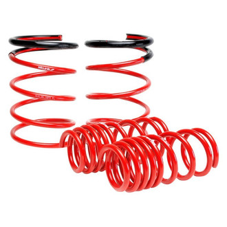 Skunk2® - Lowering Spring Kit