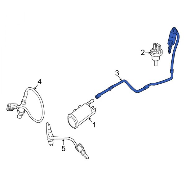 Evaporative Emissions System Lines