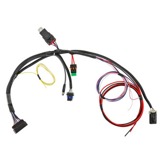 Sniper® - 2 EFI Conversion Main Harness