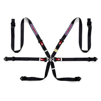 Sparco® 04834HPDMRNR - 6-Point Martini Series FIA Harness Set, Black