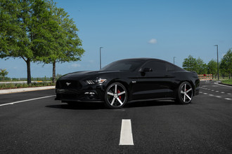 SP-10 Gloss Black Machined Face on Mustang