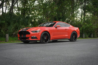 SPL-001 Gloss Black Ford on Mustang