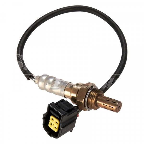 wear os oxygen sensor