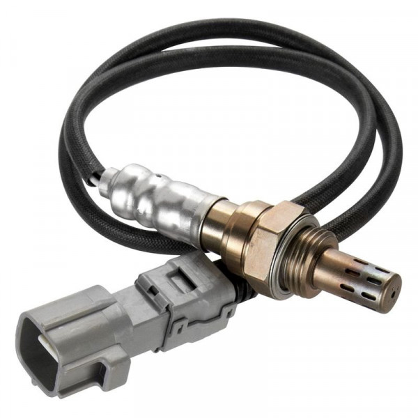 wear os oxygen sensor