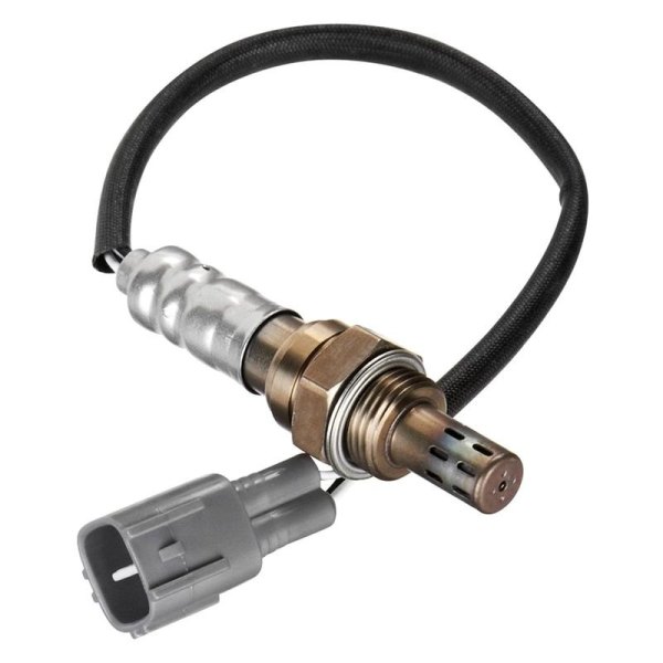 wear os oxygen sensor