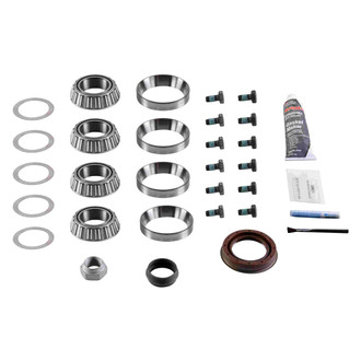 Spicer® - Differential Master Overhaul Kit