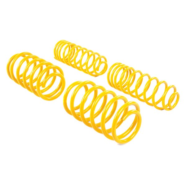 ST Suspensions® - 1.2" x 0.8" Sport Tech Front and Rear Lowering Coil Springs