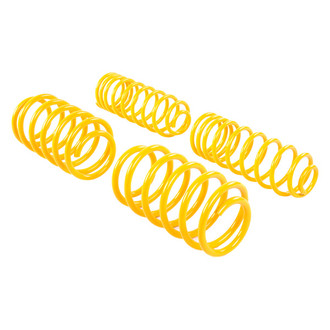 ST Suspensions® - Sport Tech Lowering Springs