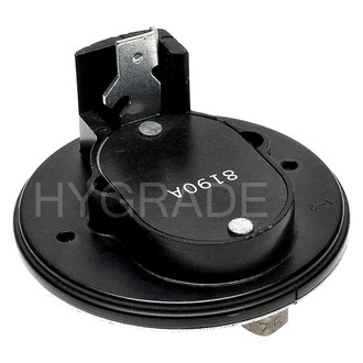 Hygrade® - Carburetor Choke Thermostat