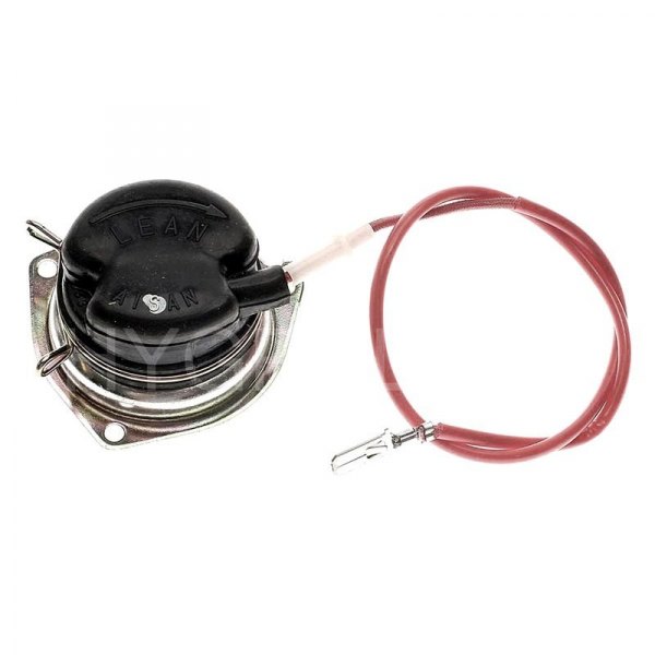 Hygrade® - Carburetor Choke Thermostat