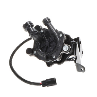 Standard® - Air Injection Pump