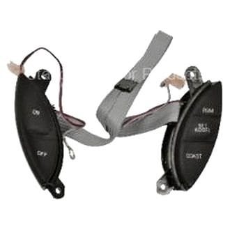 Standard® - Cruise Control Switch
