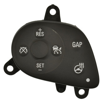 Standard® - Cruise Control Switch