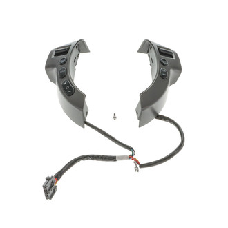 Standard® - Cruise Control Switch