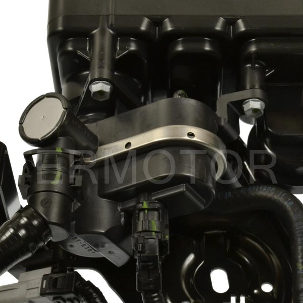 Standard® - Intermotor™ Vapor Canister