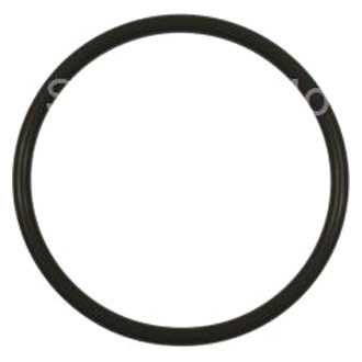 Standard® - Fuel Pump O-Ring