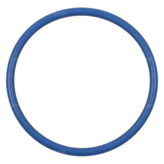 Standard® - Intermotor™ In-Tank Fuel Pump O-Ring