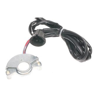 Standard® - Neutral Safety Switch