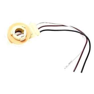 Standard® - Back Up Light Socket