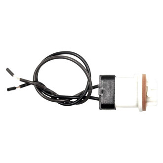 Standard® - Back Up Light Socket