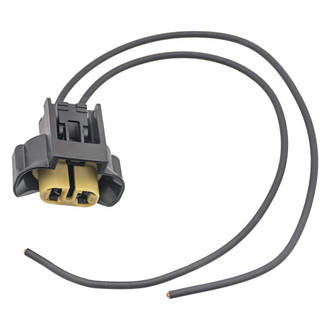 Standard® - Fog Light Socket