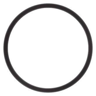 Stant® - Engine Coolant Thermostat Seal