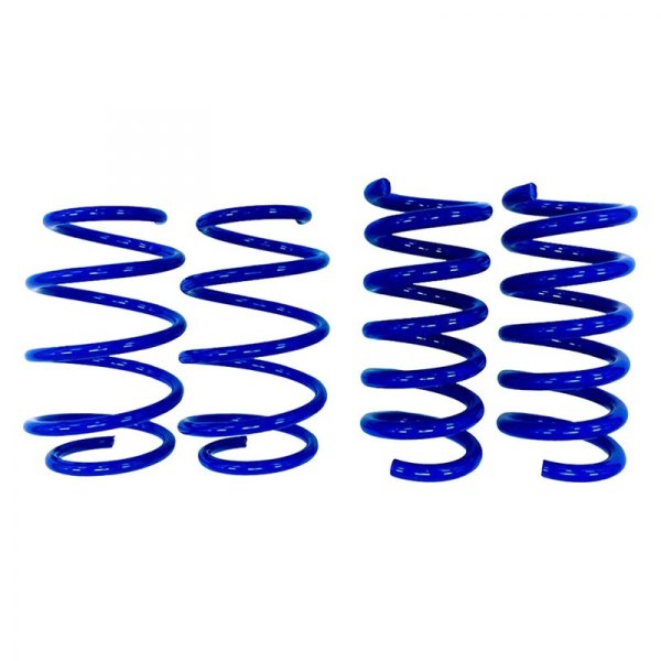 Steeda Autosports® - Sport 1" x 1" Front and Rear Lowering Coil Spring Kit
