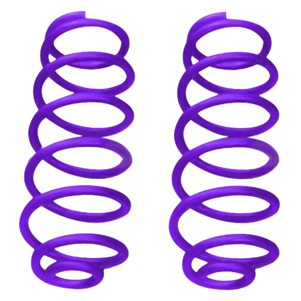 Steinjager® - 2.5" Rear Lifted Coil Springs