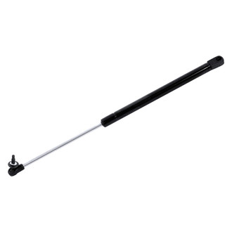 StrongArm® - Back Glass Lift Support