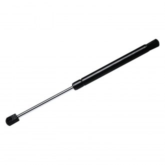 Sachs SG226011 Lift Support