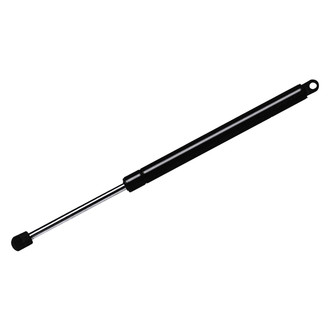StrongArm® - Hood Lift Support
