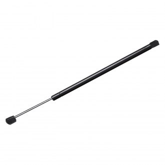 Liftgate Lift Support StrongArm 6181 Dodge Durango Pack of 1