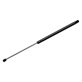 Hyundai Santa Fe Trunk (Tailgate) Lift Supports & Struts — CARiD.com