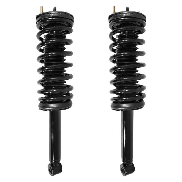 Suncore® - Rear Complete Strut Assemblies