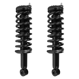 Suncore® - Rear Complete Strut Assemblies