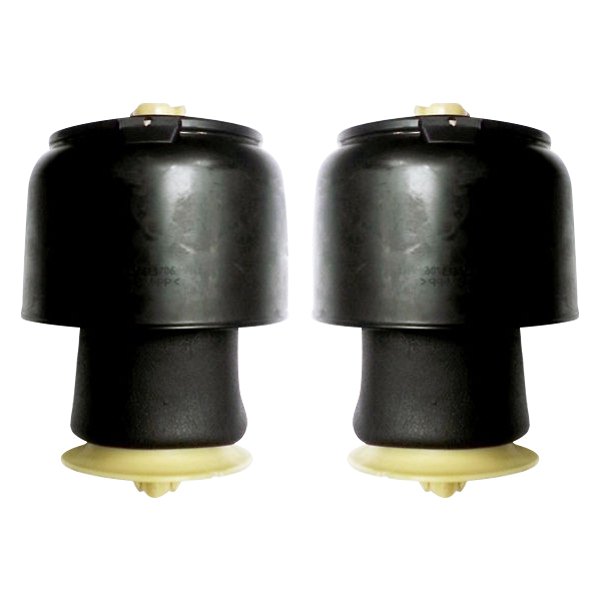 Suncore® 257BW15RPAIR New Rear Air Springs