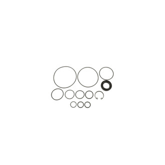 Sunsong® - Power Steering Pump Seal Kit