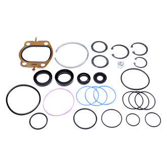 Sunsong® - Steering Gear Seal Kit