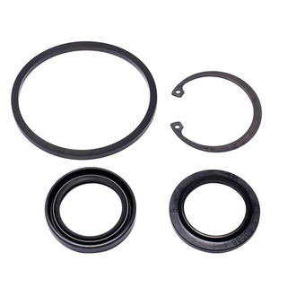 Sunsong® - Steering Gear Pitman Shaft Seal Kit