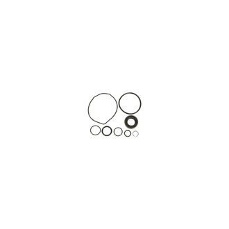Sunsong® - Power Steering Pump Seal Kit