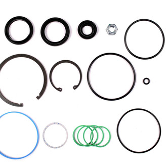 Sunsong® - Steering Gear Seal Kit