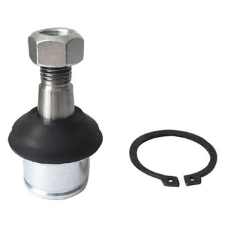 Suspensia® - Front Lower Ball Joint