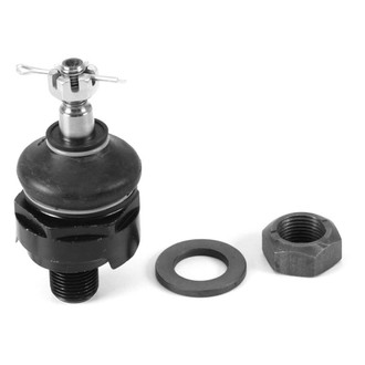 Suspensia® - Front Upper Ball Joint