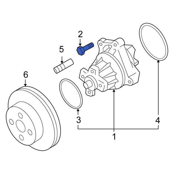 Engine Water Pump Bolt