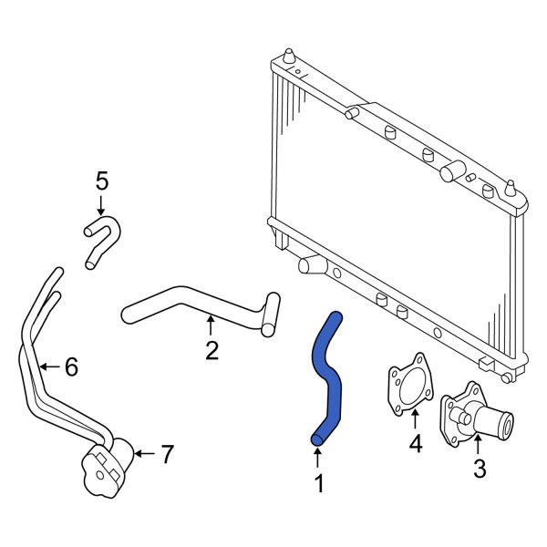 Radiator Coolant Hose